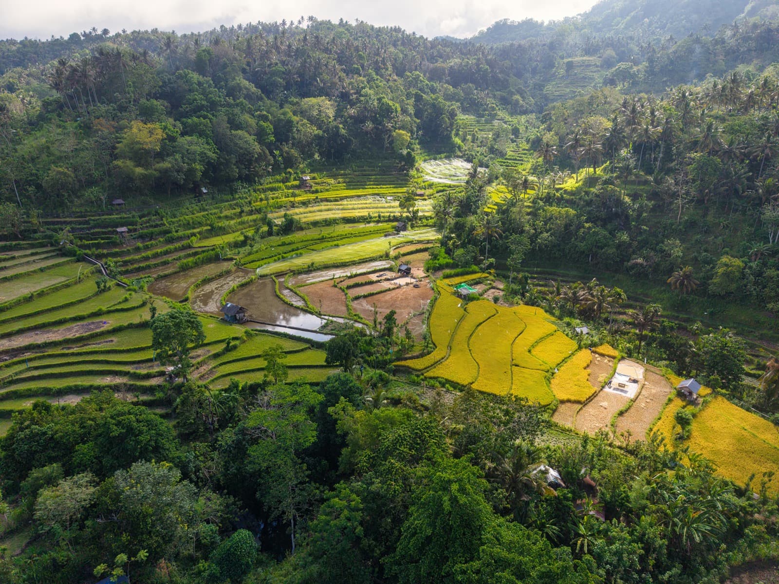 Bali