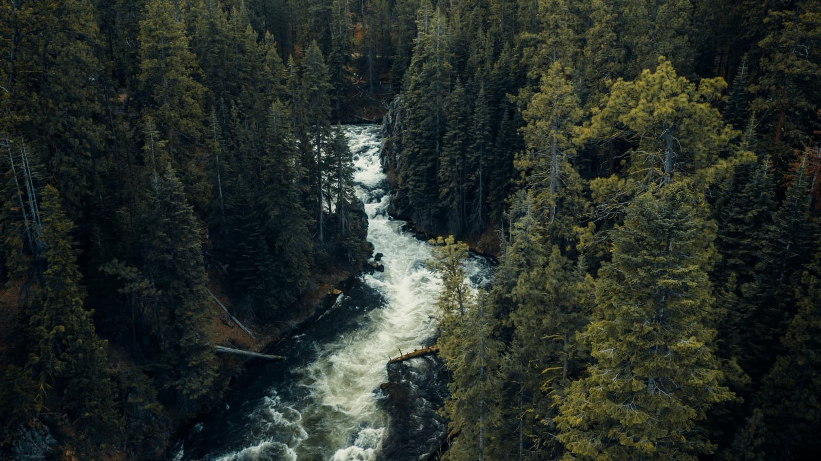 Bend
