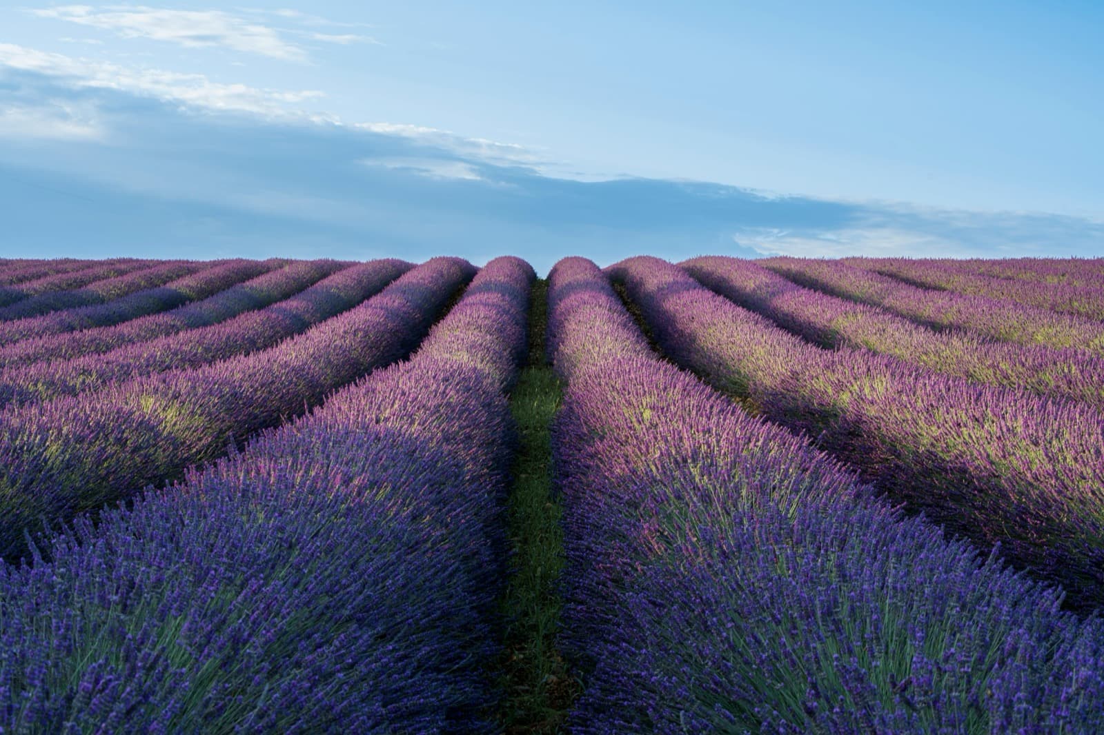 Provence